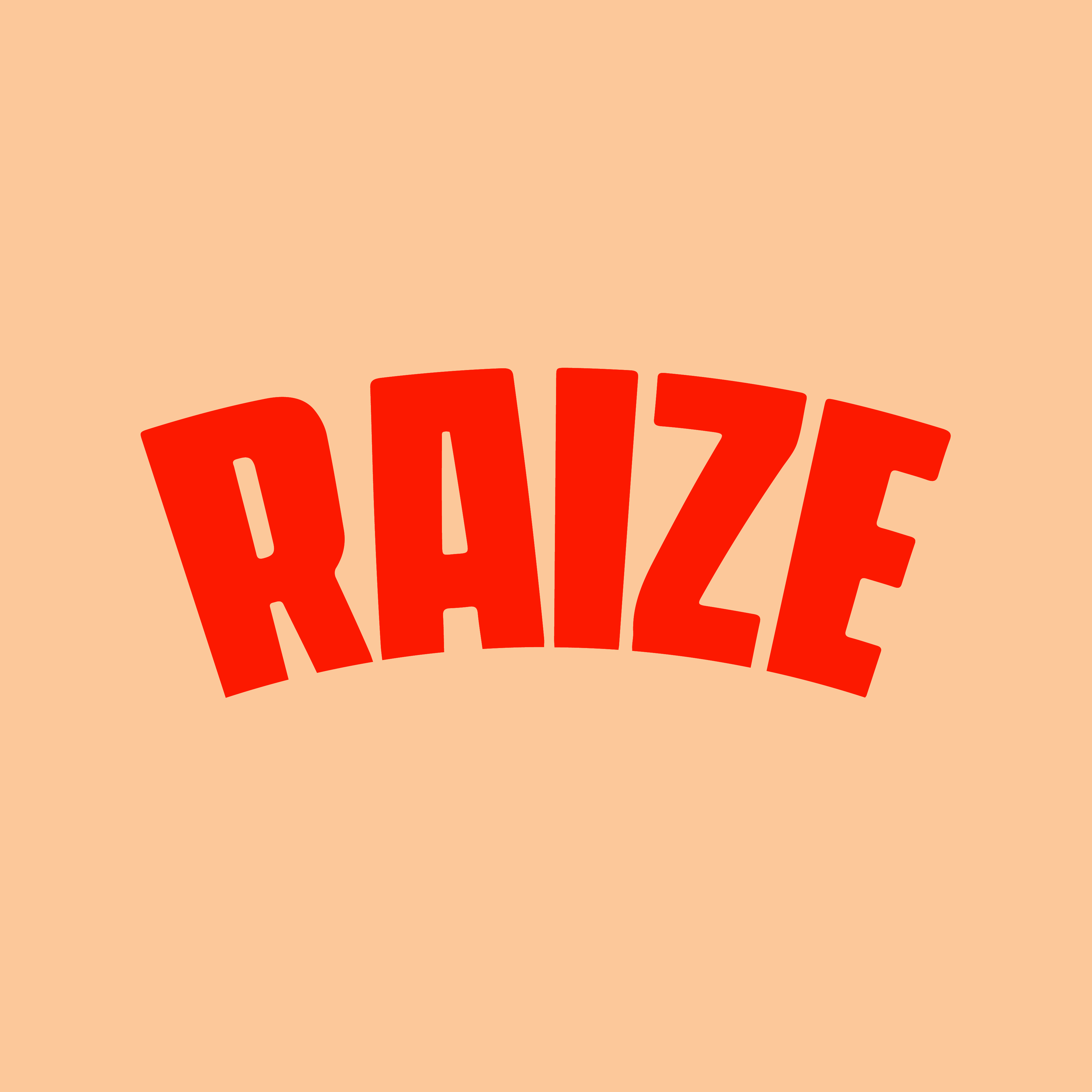 RAIZE profile picture